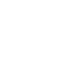 Egaliti